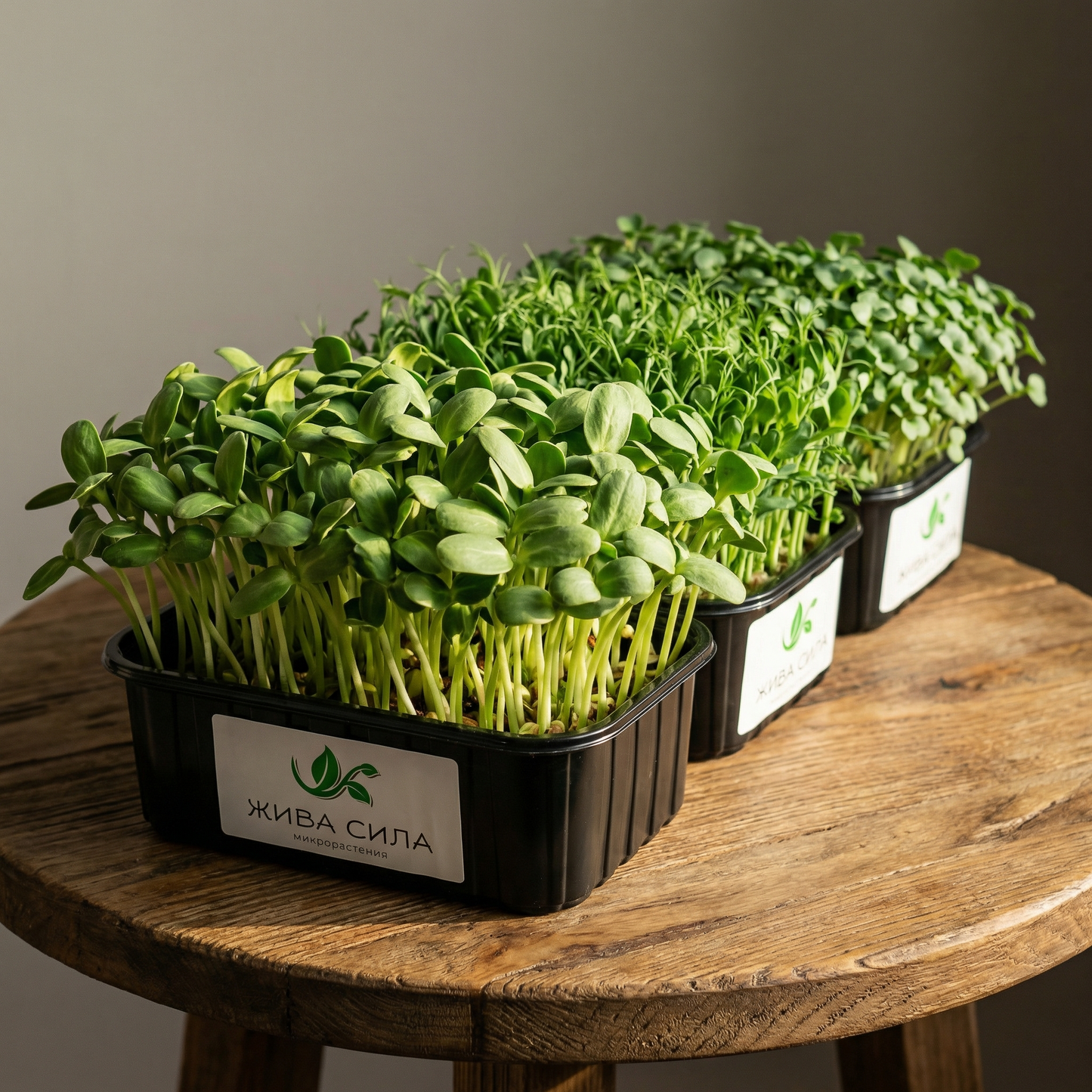 Микс Power Muscle - Покачване на мускулна маса