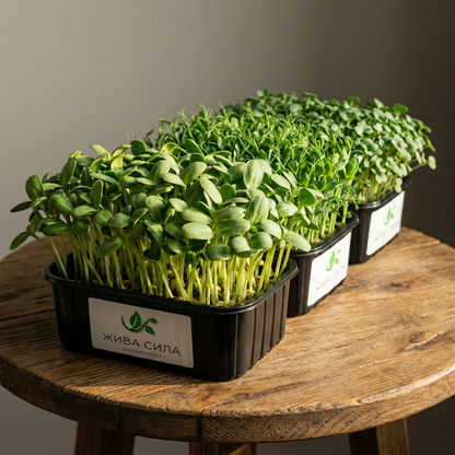 Микс Power Muscle - Покачване на мускулна маса