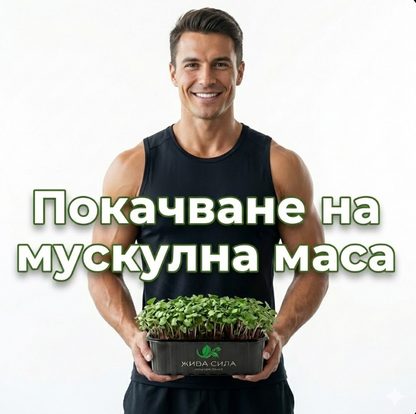 Микс Power Muscle - Покачване на мускулна маса