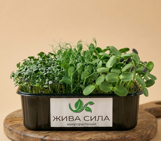 Микс Power Muscle - Покачване на мускулна маса