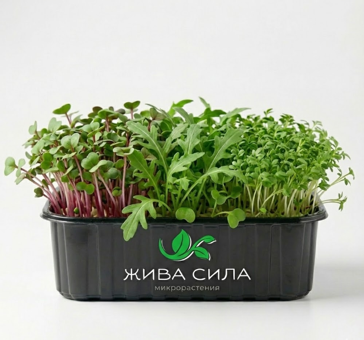 Микс Slim Detox - Натурален активатор на метаболизма