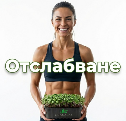 Микс Slim Detox - Натурален активатор на метаболизма