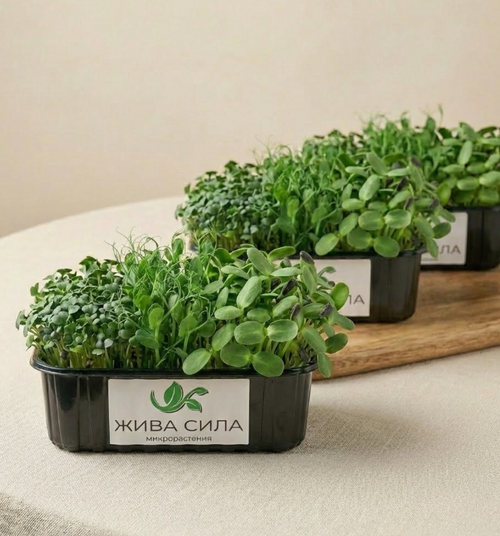 3 х Микс Power Muscle